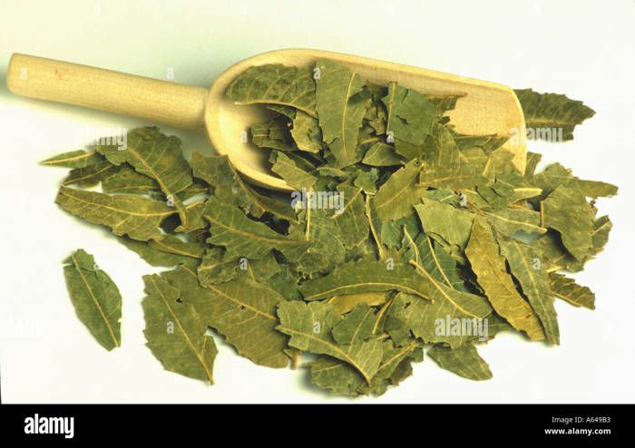 Bio Feuilles de neem 250 g