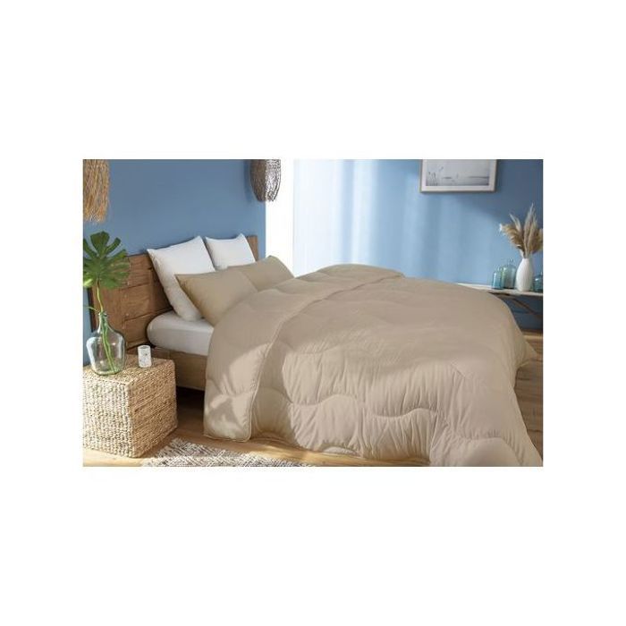 Couette Beige Sable Microfibre - 160x220 cm -1 Place + 1 TO Offert - Chaud & Antiallergique