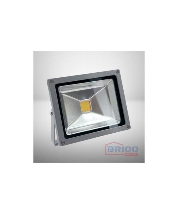 PROJECTEUR LED 20W 6500K