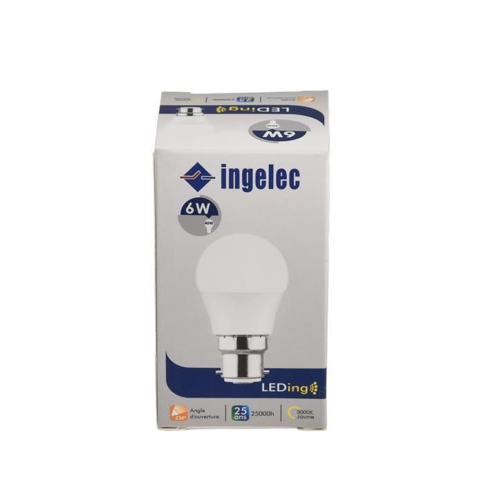 LAMPE LED GLOBE 6W B22 LEDG06B22J