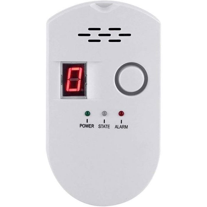 Détecteur De GAZ Butane-Propane, Numérique, Avec Alarme, 220V