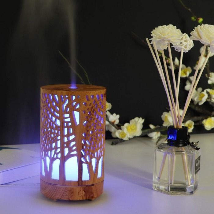 Diffuseur Huile Essentielle style moderne de grand taille