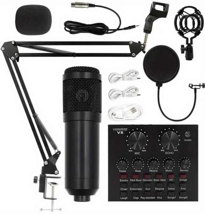 Ensemble de carte son professionnel BM800 V8, condensateur audio