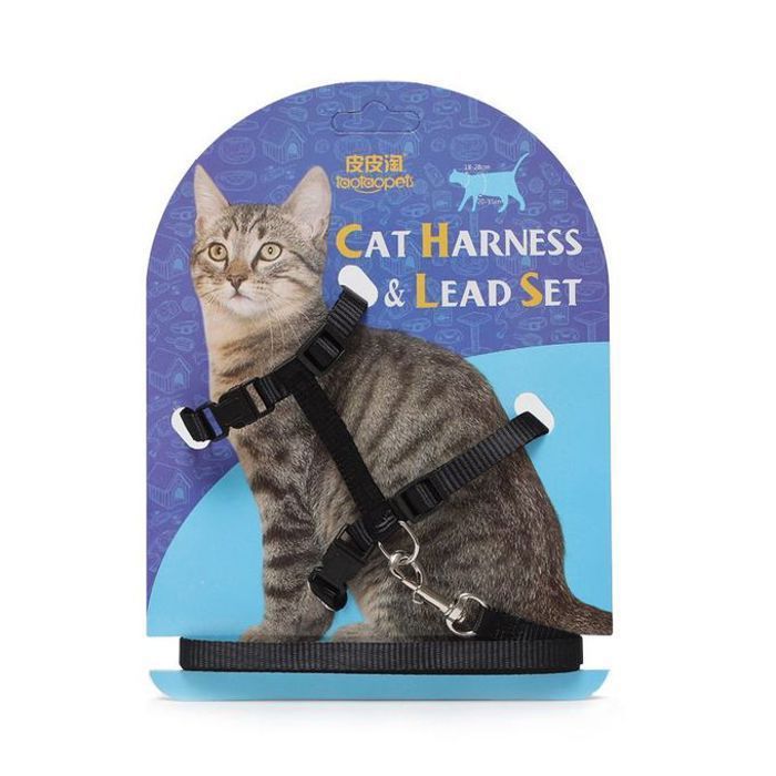 Laisse + Harnai pour chat noir