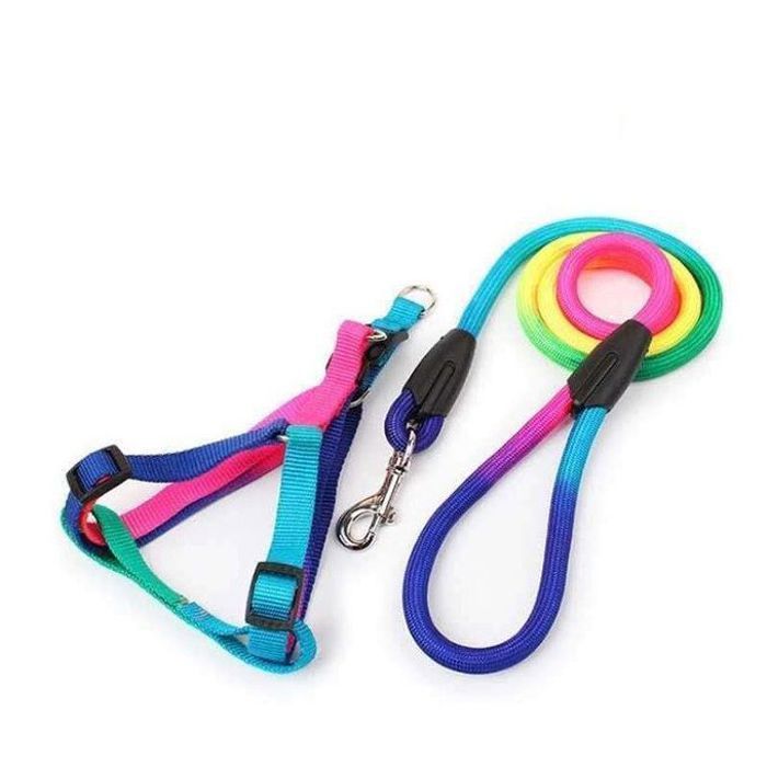 Ceinture pour chien, Laisse de chien Coloré, corde, harnaiss pour animaux de compagnie, chiens/chats