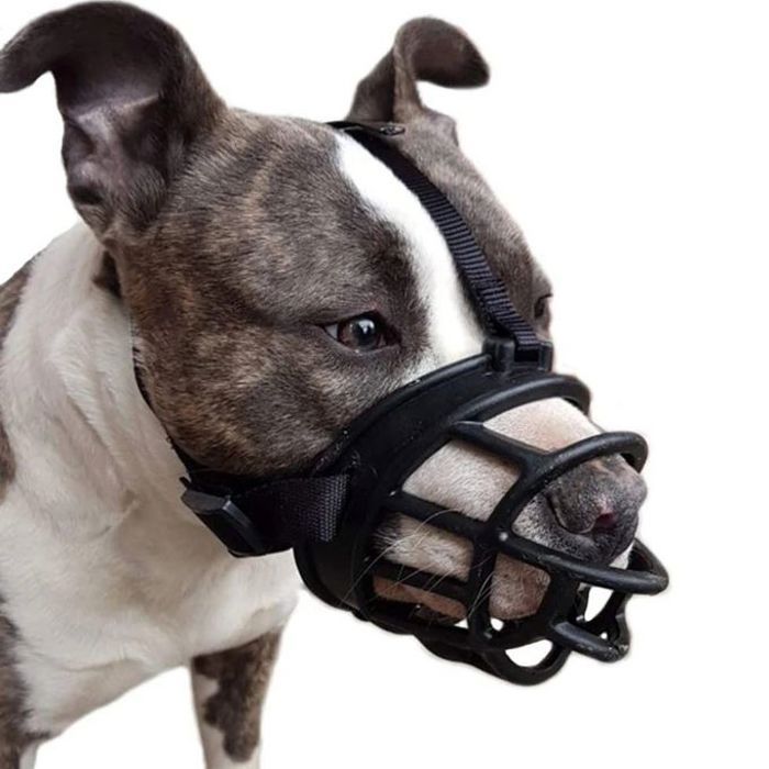 Muselière Confortable en Silicone Souple pour Chien 45 à 59 cm