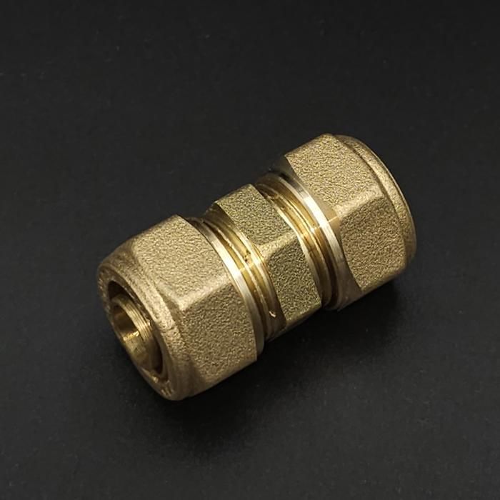 AAAAV55190