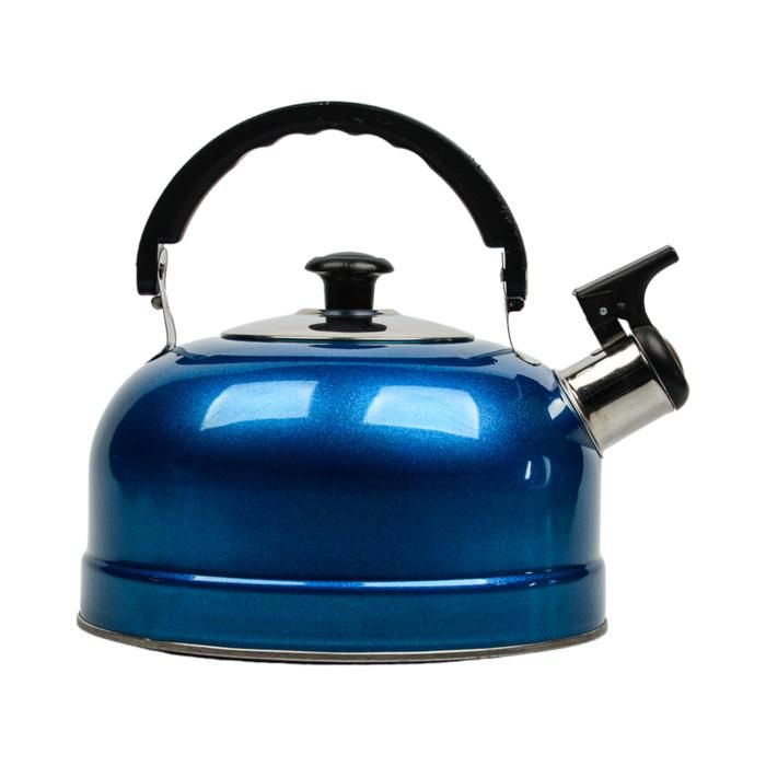 Bouilloire 1,75 L en Inox HW09166 - Couleur aléatoire