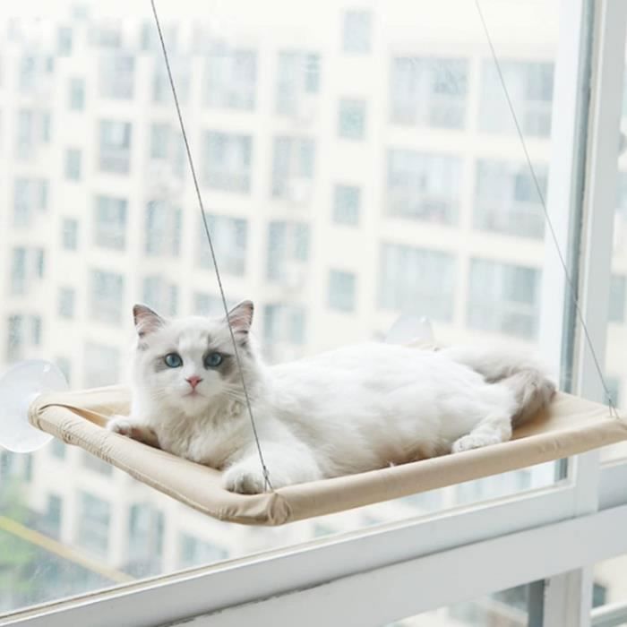 Support de fenêtre pour chat
