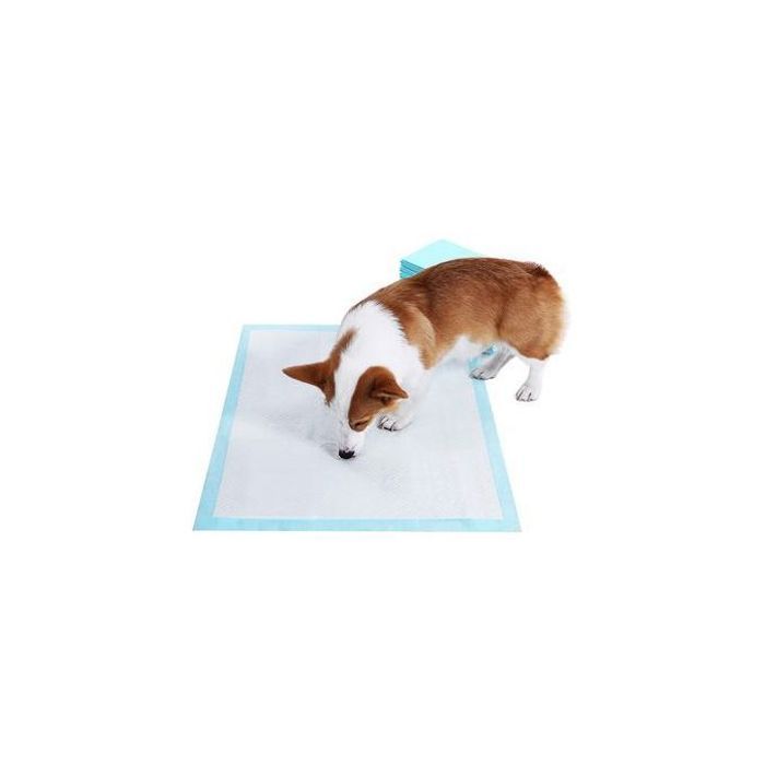 Canijess Lot de 15 tapis absorbants et éducatif pour chien 60 cm x 90 cm