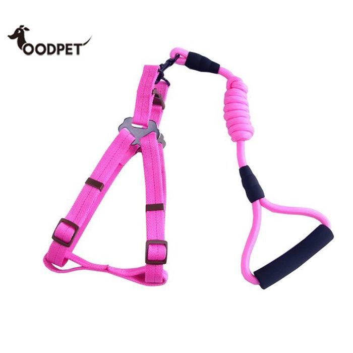 Laisse et harnai pour chien - rose