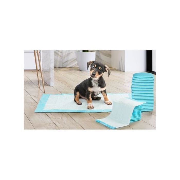 Canijess Lot de 25 tapis absorbants et éducatif pour chien 40 * 60 cm