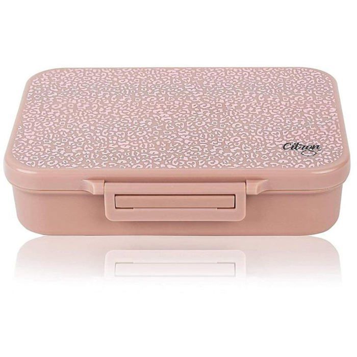 CITRON LUNCHBOX