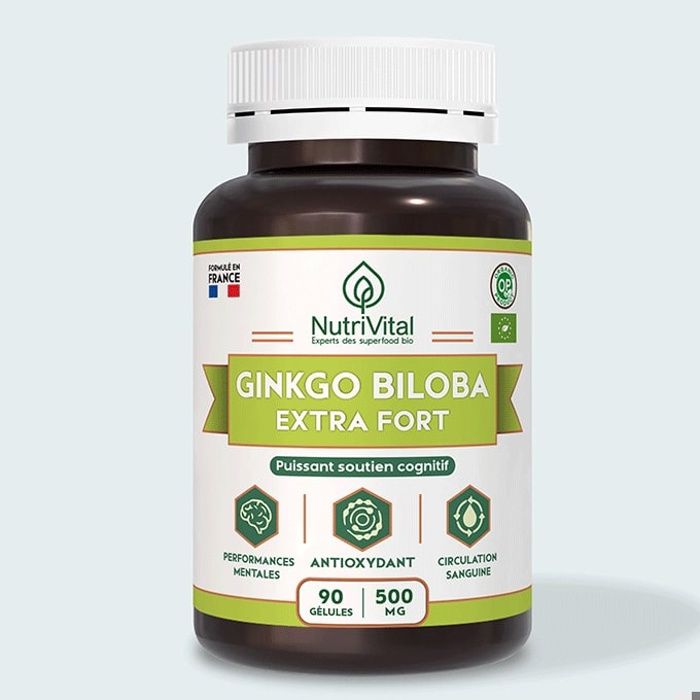 Ginkgo Biloba Extra Fort 500mg Puissant Soutien Cognitif