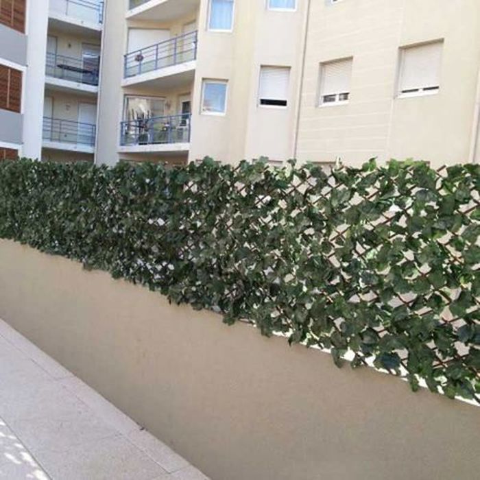 Brise-vue, treillage, grillage à feuillage extensible en bois - Grande taille