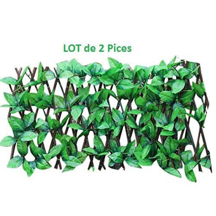 LOT de 2 Brise-vue en Treillis à feuillage extensible