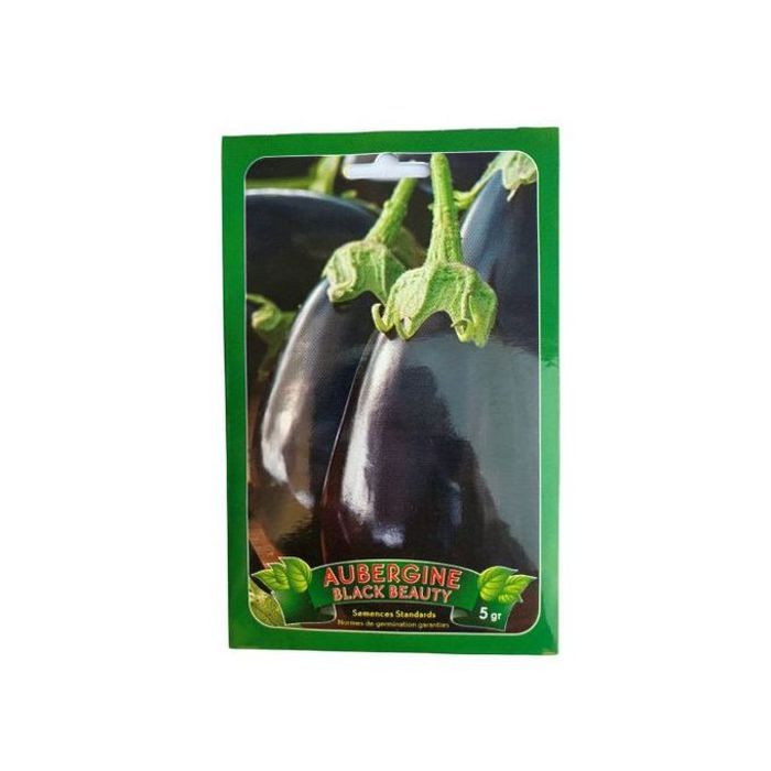 Graines D'Aubergine Black Beauty 5G