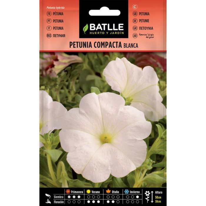 Graines De Fleur Pétunia Blanc