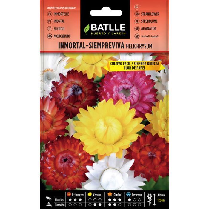 Grains De Fleurs Immortelle Strawflower Helichrysum