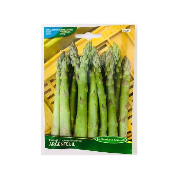 Graines D'Asperge Argenteuil