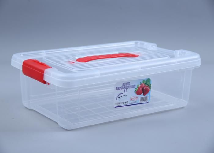 Boîte rectangulaire transparente avec poignée 6L - PLADER