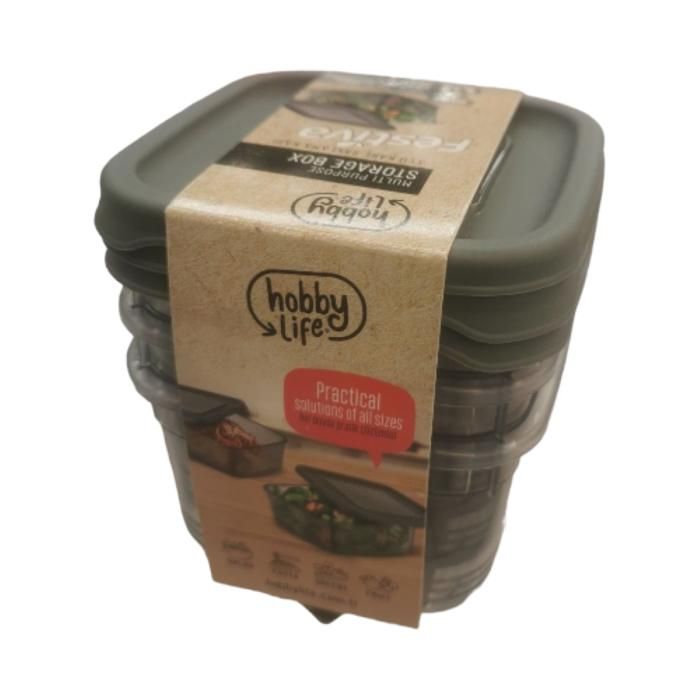 BOITE DE RANGEMENT FESTIVA CARRÉ 3X250 ML