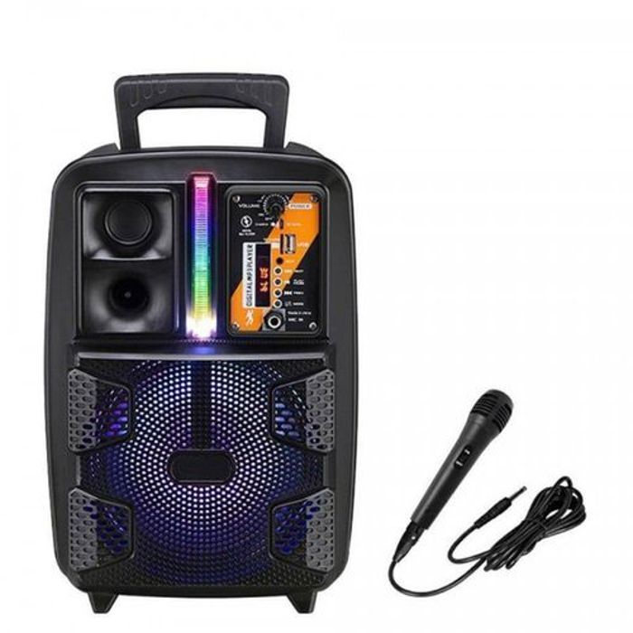 Haut-Parleur Portable Chariot Rechargeable avec Microphone sans Fil