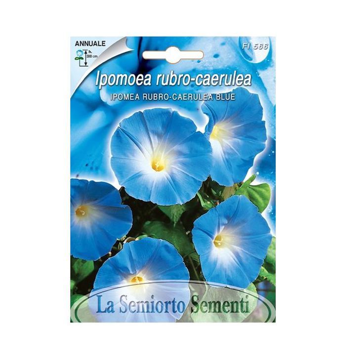 Graines de fleurs Ipomée bleu 2g