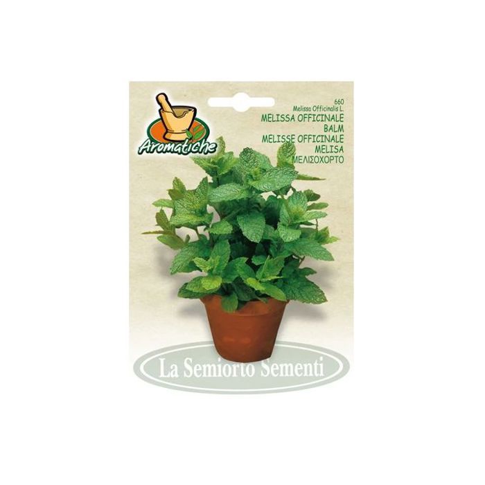 graines des plantes - semences de Melisse Officinale 3g