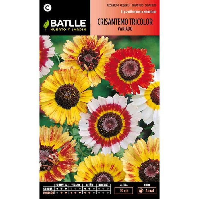 graines des fleur Chrysanthème tricolore 4g