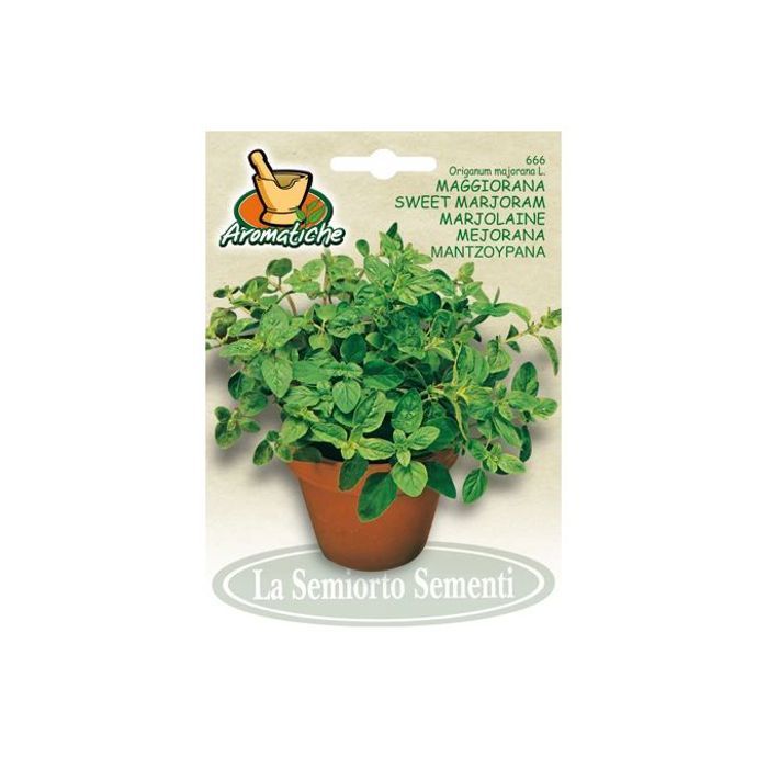 graines des plantes - semences de Marjolaine 1g