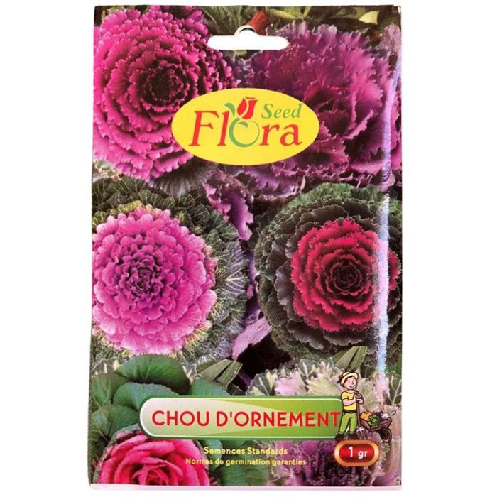 Graines de chou d'Ornement 1g