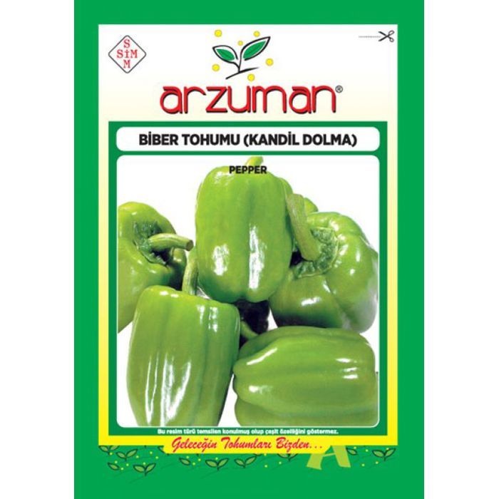 Graines de légumes - semences de poivron doux vert