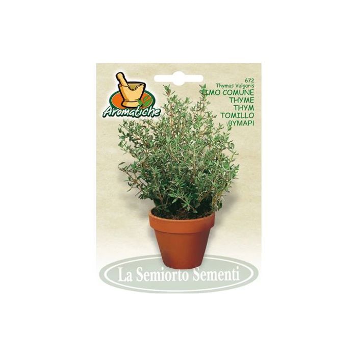 graines des plantes - semences de Thym 1g
