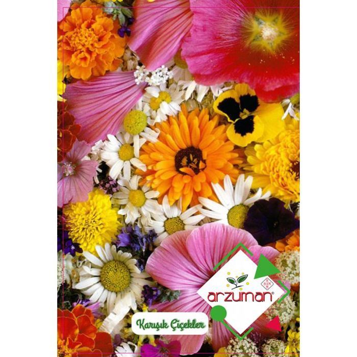 Graines de fleurs mixtes - mélange de 50 semences