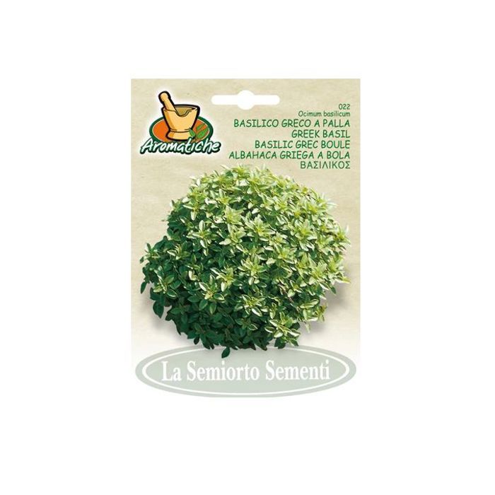graines des plantes - semences Basilic Fin vert 5g