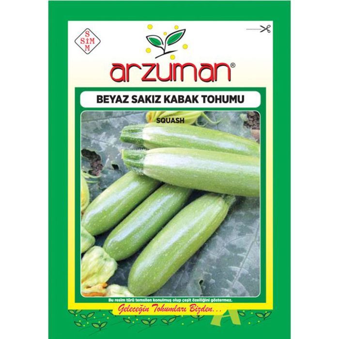 Graines de légumes - semences de Courgette verte 10g