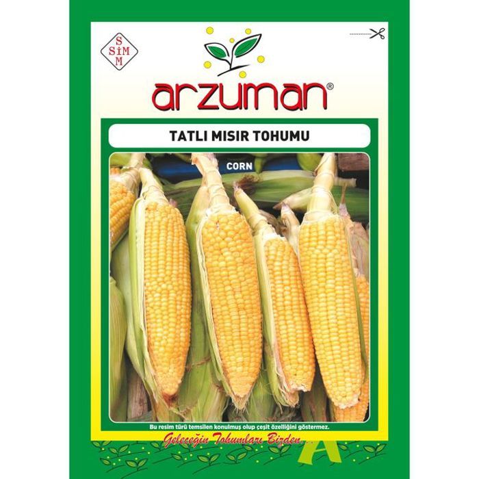Graines de Maïs jaune Popcorn 25g