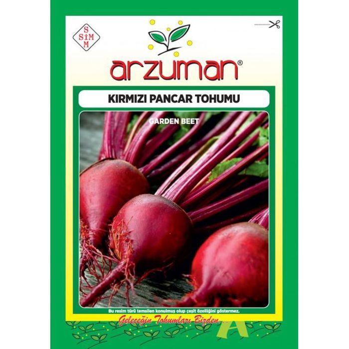 Graines de légumes - semences de Betterave rouge