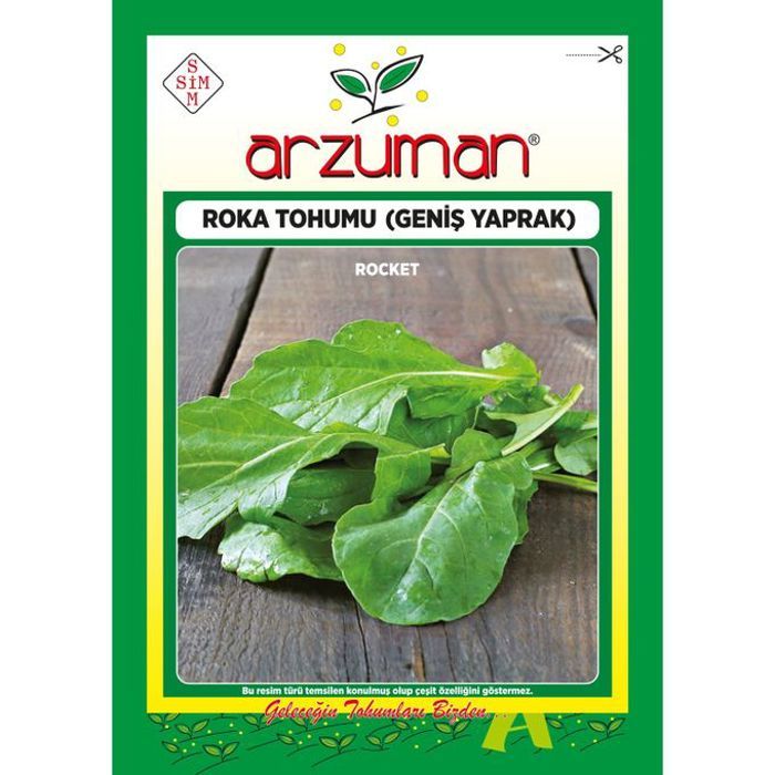 graines des plantes - semences de Roquette , jarjir 25g