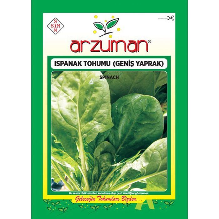 Graines des Epinard 25g