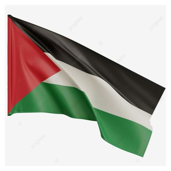 Drapeau Palestine - 150 cm × 100 cm
