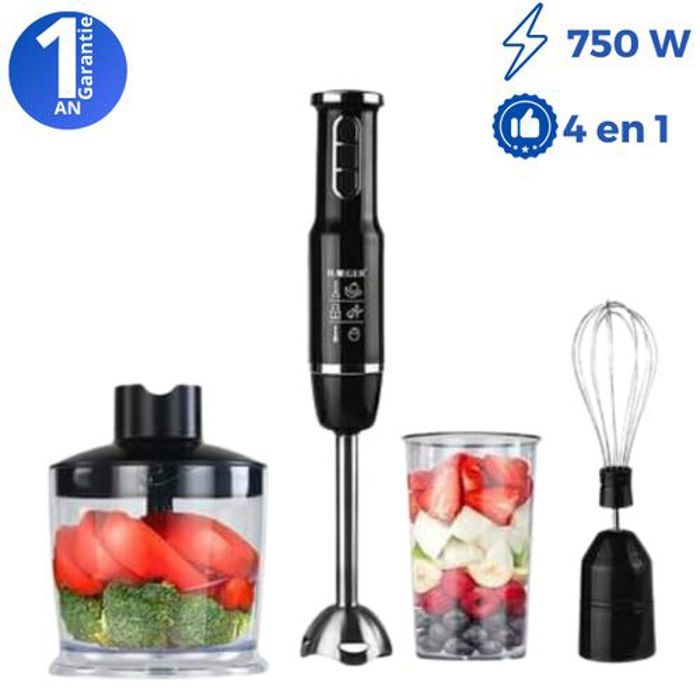 Robot Mixeur plongeant - 4 en 1 - 750W