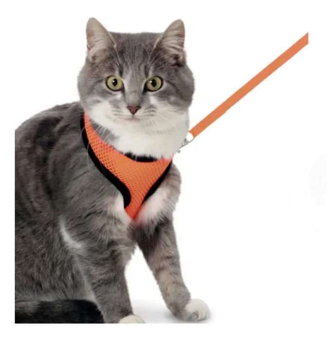 FLAMINGO HARNAIS AVEC LAISSE CHATON HARMS ORANGE & NOIR SMALL