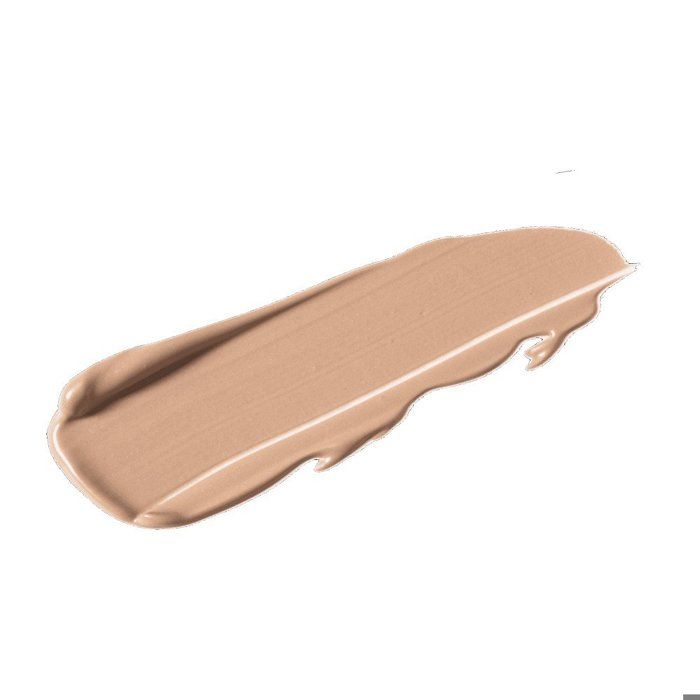 Topface - Instyle Lasting Finish Concealer -005