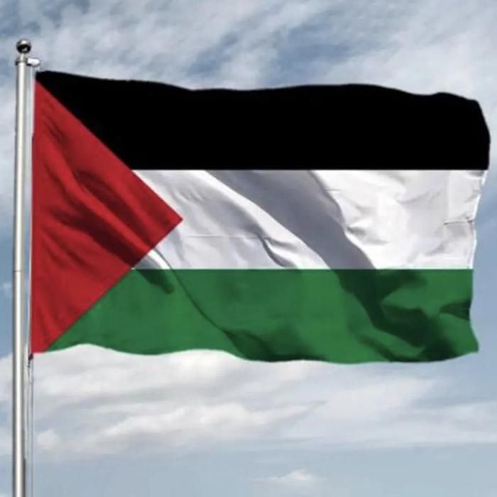 Drapeau - Palestine - Polyester durable - Multicolore - Utilisation extérieure