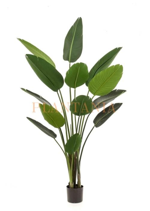 Plante artificielle bananier 160 cm-sans pot.