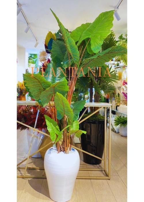 Plante artificielle Alocasia - PLANTANIA - 170 cm - Bordeaux - 16 feuilles - Réaliste