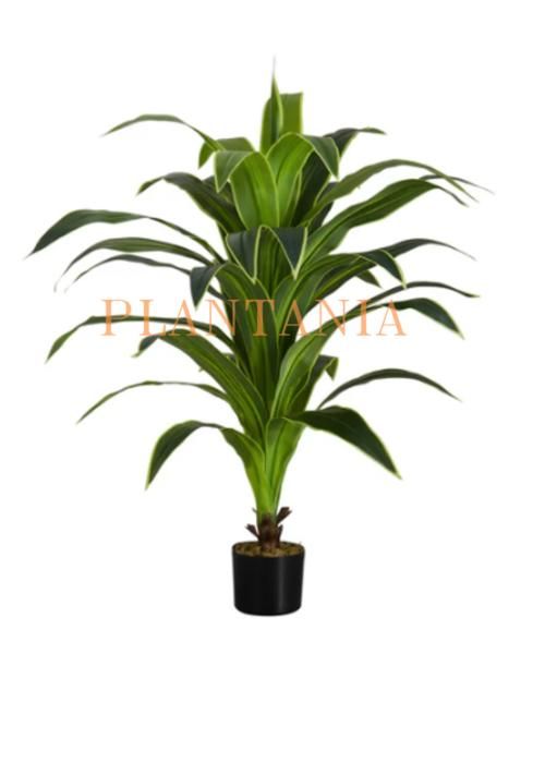 Plante artificielle Dracaena 120 cm.