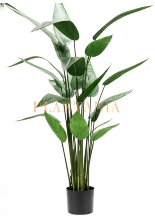 Plante artificielle strelitzia 145 cm-sans pot.